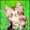   mikky_girl