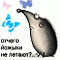   Soloveyka