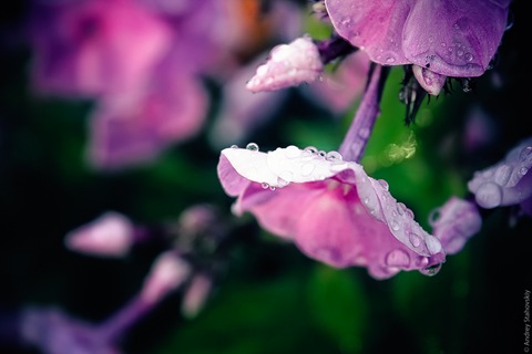 88cc470c1285bee0 main