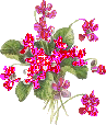 flover 0060