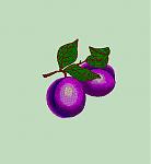 Plums