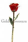 WWW.GOLD-FLOWERS.RU 
 ,         .     , ...