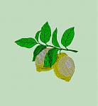 Lemons(2)