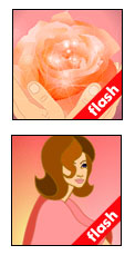flash 